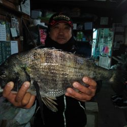 ふじや釣舟店 釣果