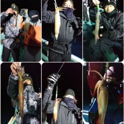 シードリーム 釣果