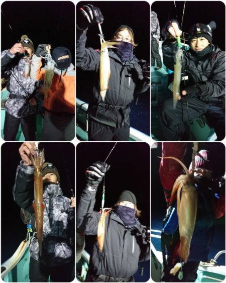 シードリーム 釣果