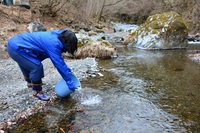 秩父フライフィールド 釣果