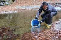 秩父フライフィールド 釣果