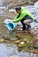 秩父フライフィールド 釣果