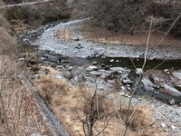 秩父フライフィールド 釣果