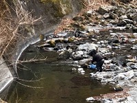 秩父フライフィールド 釣果
