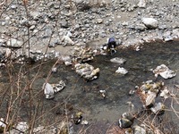 秩父フライフィールド 釣果