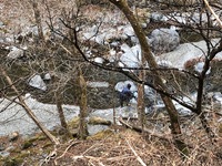 秩父フライフィールド 釣果