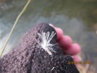 秩父フライフィールド 釣果