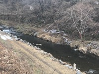 秩父フライフィールド 釣果