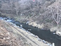 秩父フライフィールド 釣果