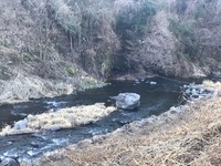 秩父フライフィールド 釣果