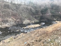 秩父フライフィールド 釣果