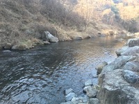 秩父フライフィールド 釣果