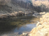 秩父フライフィールド 釣果