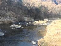 秩父フライフィールド 釣果