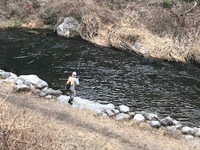 秩父フライフィールド 釣果