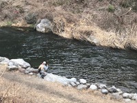 秩父フライフィールド 釣果
