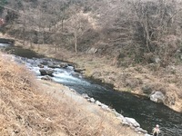 秩父フライフィールド 釣果