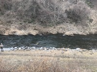 秩父フライフィールド 釣果