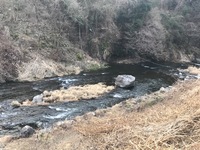 秩父フライフィールド 釣果