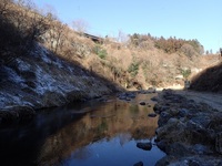 秩父フライフィールド 釣果