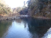 秩父フライフィールド 釣果