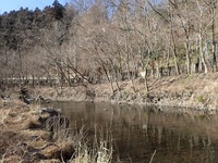 秩父フライフィールド 釣果