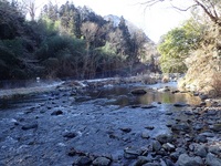 秩父フライフィールド 釣果