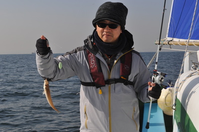 根岸丸 釣果