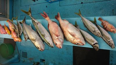 はじめ丸 釣果