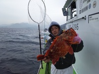 なごみ船 釣果