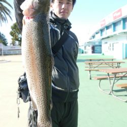 としまえんフィッシングエリア 釣果