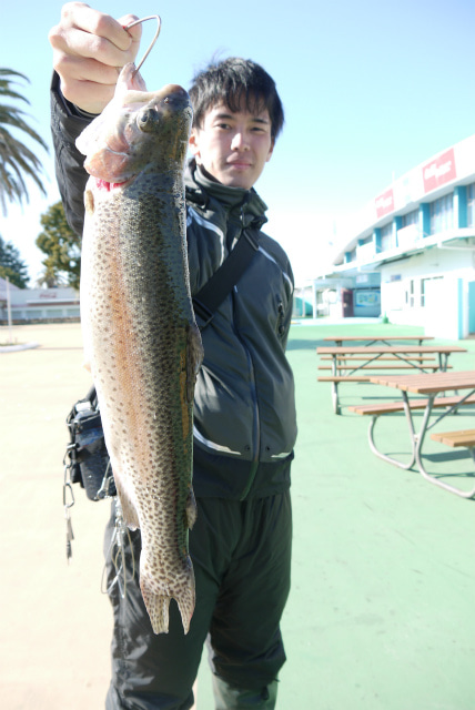 としまえんフィッシングエリア 釣果