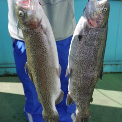 としまえんフィッシングエリア 釣果