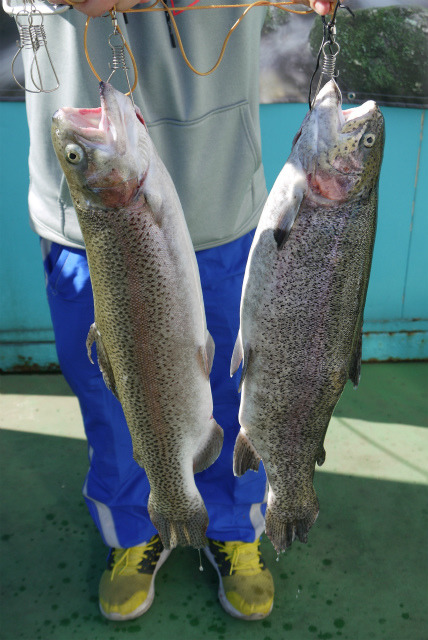 としまえんフィッシングエリア 釣果
