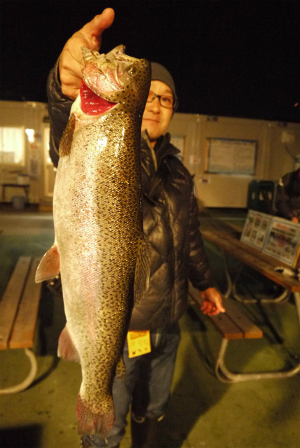 としまえんフィッシングエリア 釣果