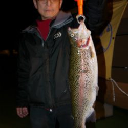 としまえんフィッシングエリア 釣果