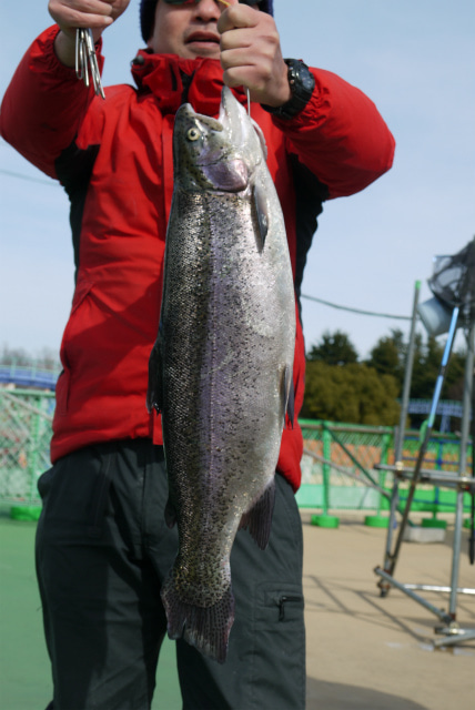 としまえんフィッシングエリア 釣果