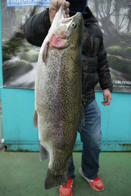 としまえんフィッシングエリア 釣果