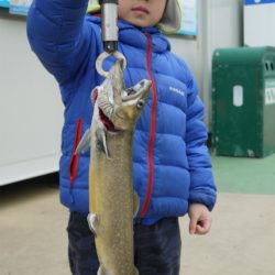 としまえんフィッシングエリア 釣果