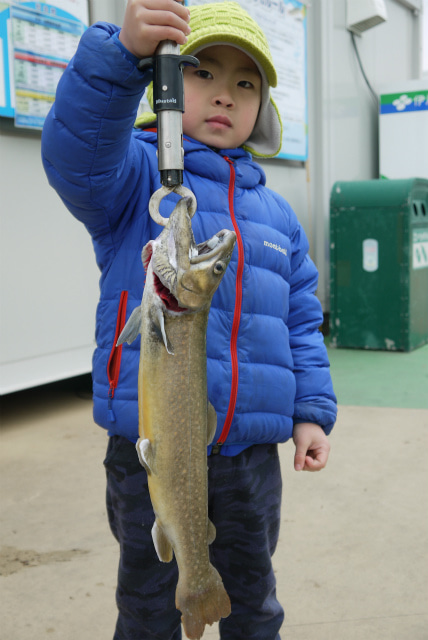 としまえんフィッシングエリア 釣果