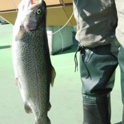 としまえんフィッシングエリア 釣果