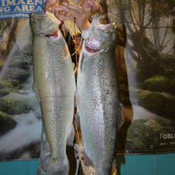 としまえんフィッシングエリア 釣果