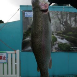 としまえんフィッシングエリア 釣果