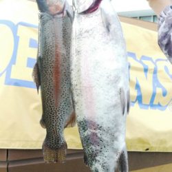 としまえんフィッシングエリア 釣果