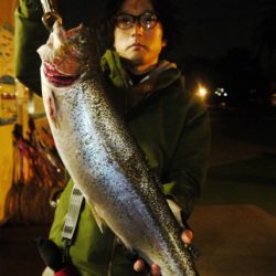 としまえんフィッシングエリア 釣果