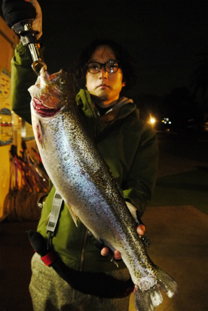 としまえんフィッシングエリア 釣果