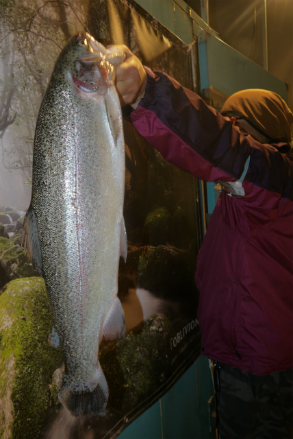 としまえんフィッシングエリア 釣果