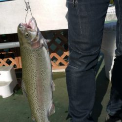 としまえんフィッシングエリア 釣果