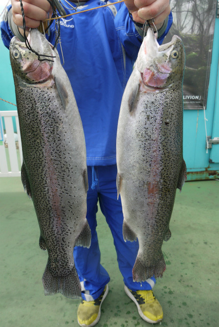 としまえんフィッシングエリア 釣果