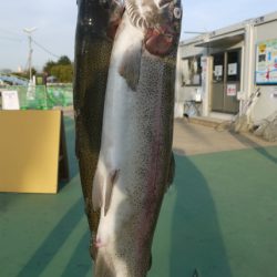 としまえんフィッシングエリア 釣果